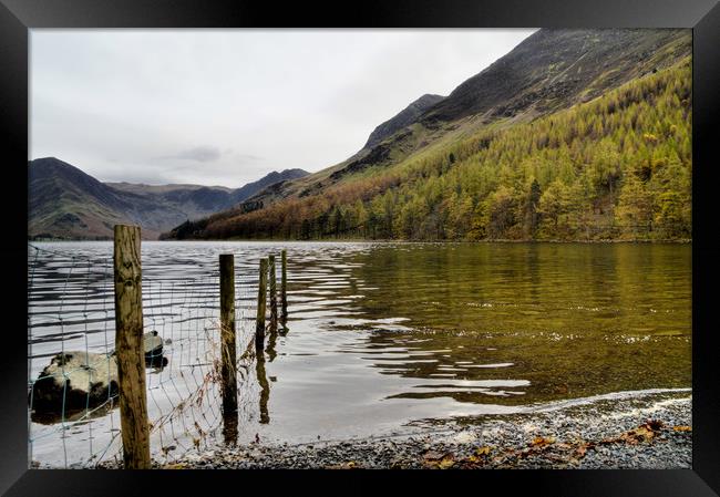 Buttermere in Autumn Framed Print by Sarah Couzens