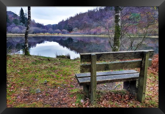 Relax at Yew Tree Tarn  Framed Print by Sarah Couzens