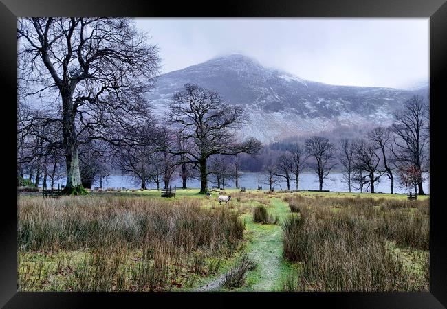 Frosty Buttermere Framed Print by Sarah Couzens
