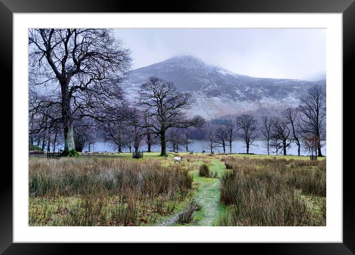 Frosty Buttermere Framed Mounted Print by Sarah Couzens