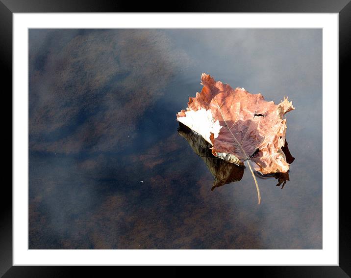floating Framed Mounted Print by Jo Hoden