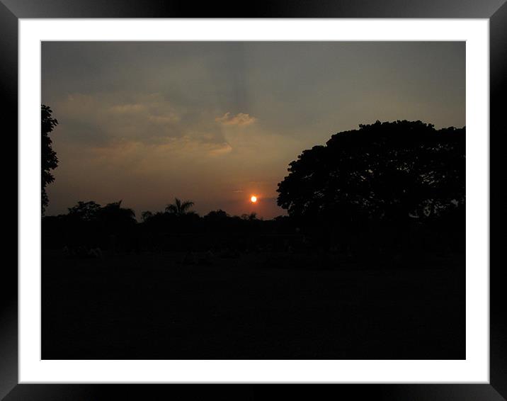 in the evening Framed Mounted Print by swapan nagpal