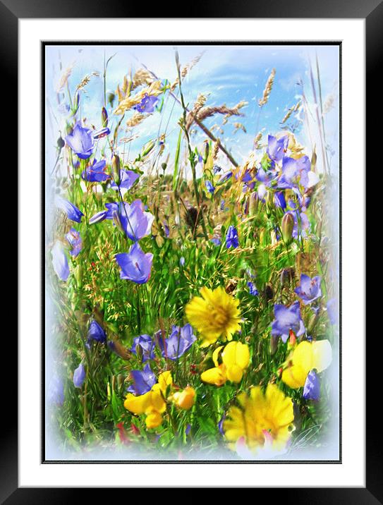 The Meadow Framed Mounted Print by Vivienne Barker