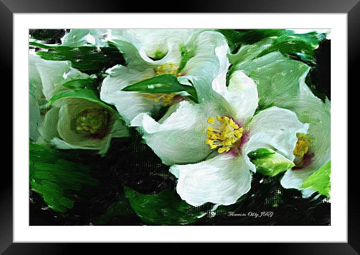 Flowers in Oil Framed Mounted Print by Vivienne Barker