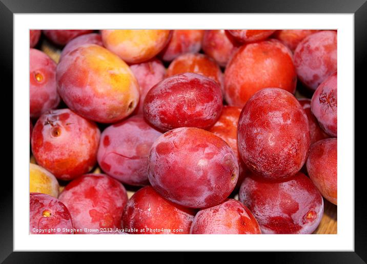 Plums! Framed Mounted Print by Stephen Brown