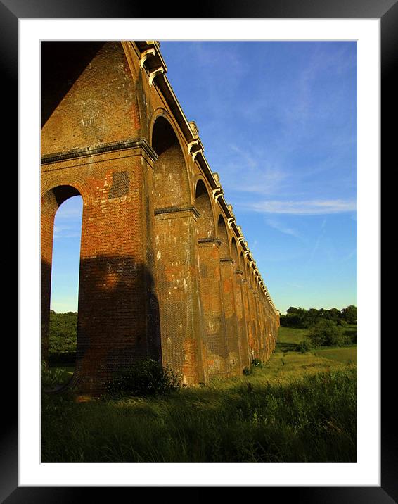 Viaduct In The Sun Framed Mounted Print by Thomas Seear