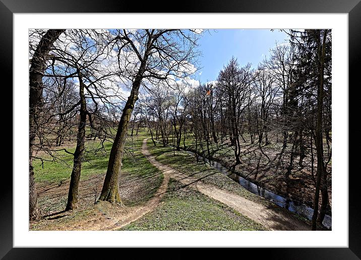 Alley of the river in the park Sub Arini Sibiu Rom Framed Mounted Print by Adrian Bud
