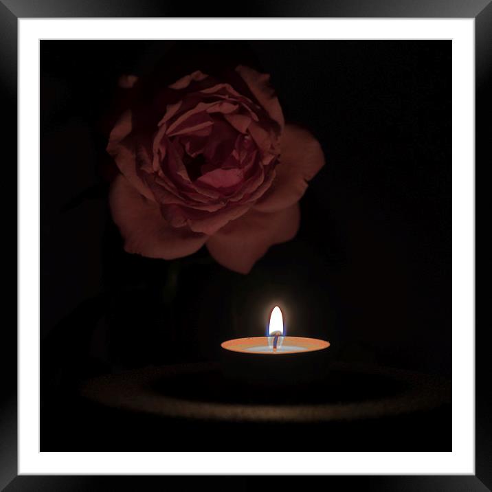 Rose Candle Framed Mounted Print by Adrian Bud