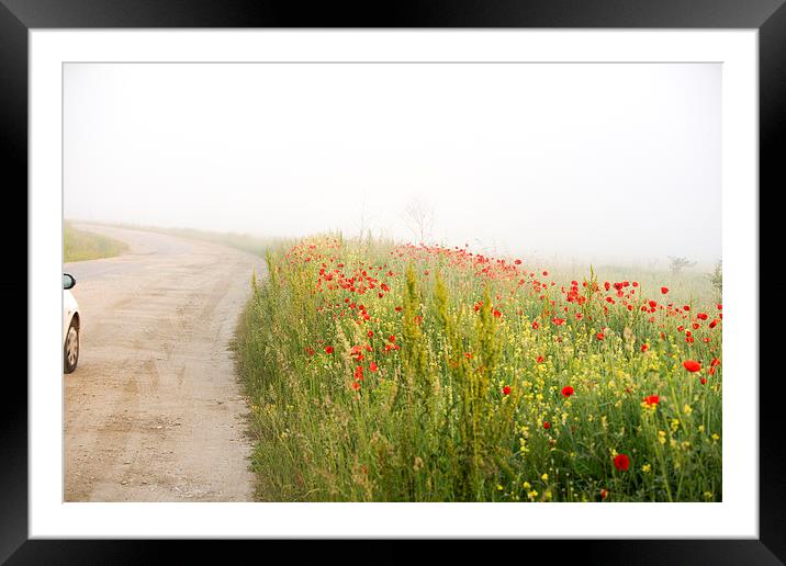 Poppy flower guarding the road Framed Mounted Print by Adrian Bud
