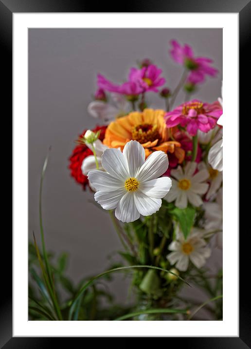 Bouquet of field flowers Framed Mounted Print by Adrian Bud