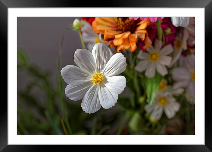 Bouquet of garden flowers Framed Mounted Print by Adrian Bud