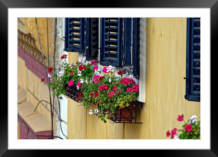Old Town Sibiu Romania with flowers at windows Framed Mounted Print by Adrian Bud