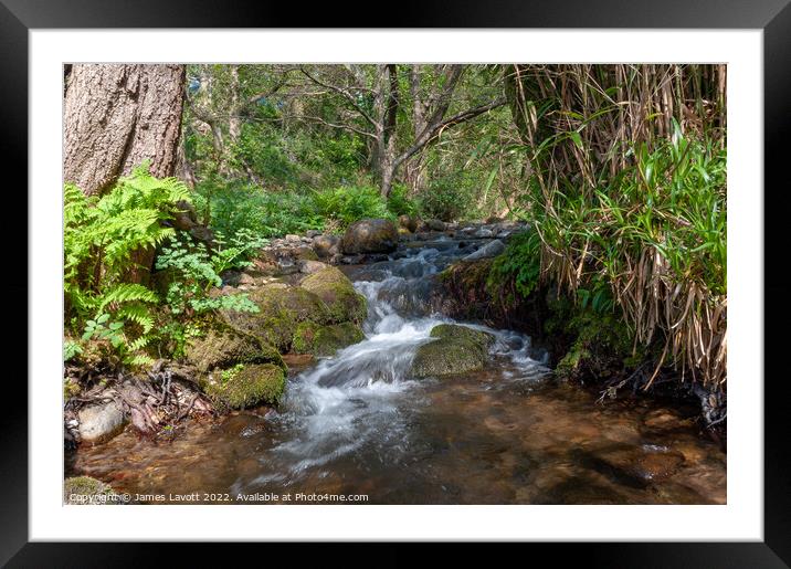 Gyrn Slow Stream Framed Mounted Print by James Lavott