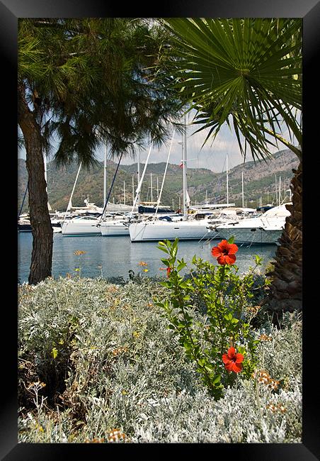 Gocek Marina Framed Print by James Lavott