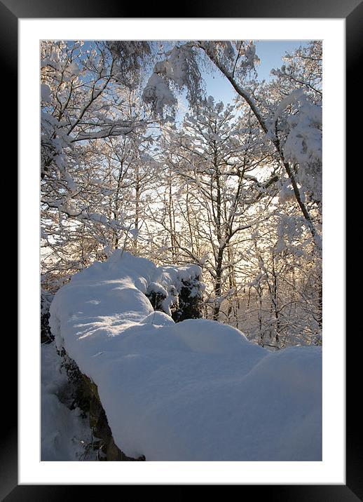 Snow Soaked Framed Mounted Print by James Lavott