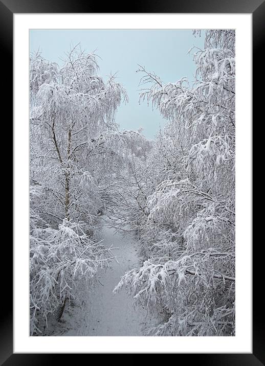 Snow Path Framed Mounted Print by James Lavott
