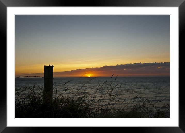 Sunset Coast Framed Mounted Print by James Lavott