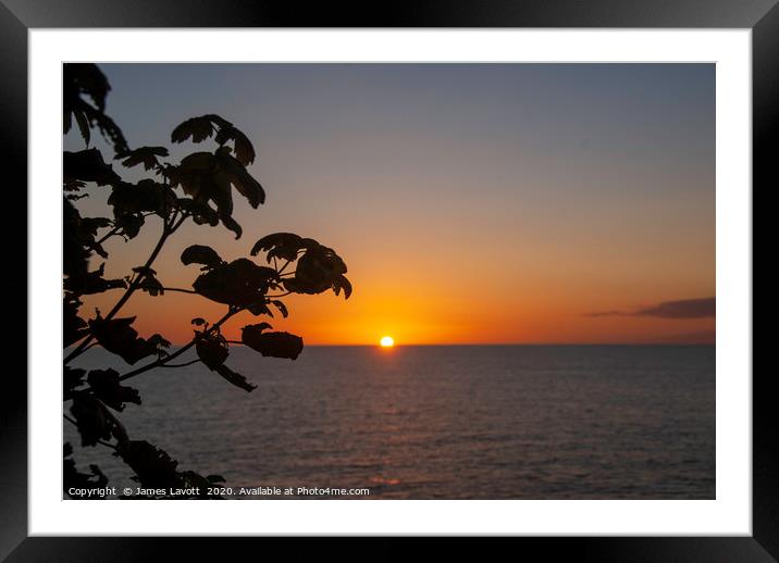 Sea, Sun & Flora Framed Mounted Print by James Lavott