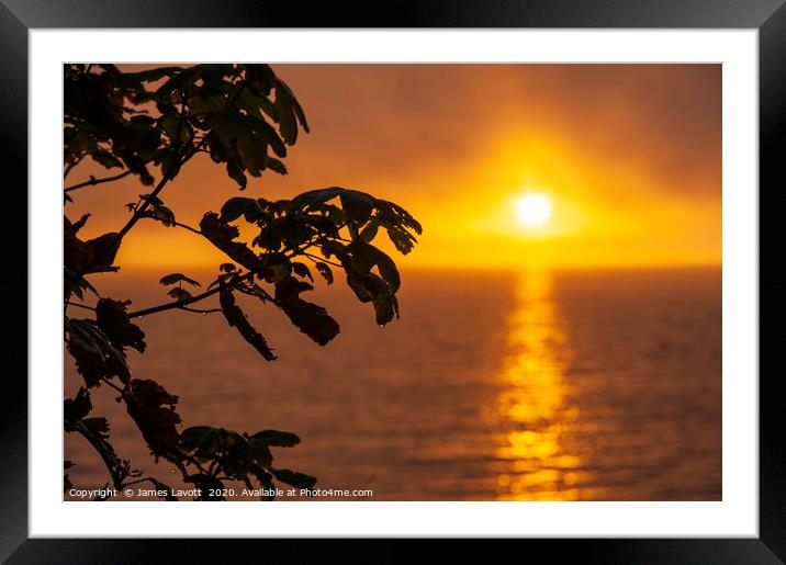 Night Dew & Sun Framed Mounted Print by James Lavott