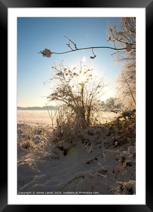 Snow Soaked Branches Framed Mounted Print by James Lavott