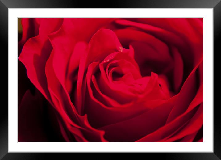 NA Framed Mounted Print by Bobby Brown