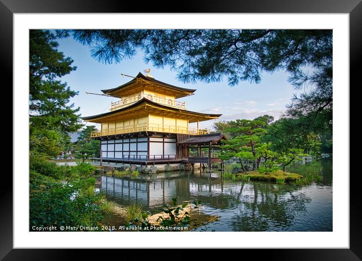 Kinkaku-ji Golden Pavilion Kyoto Japan             Framed Mounted Print by Moty Dimant