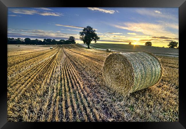 Last Of The Bales Framed Print by Fee Easton