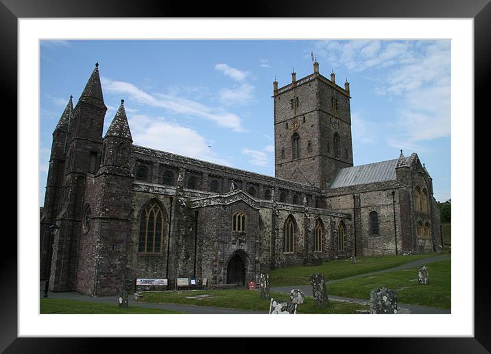 st davids cathedral Framed Mounted Print by mark blower