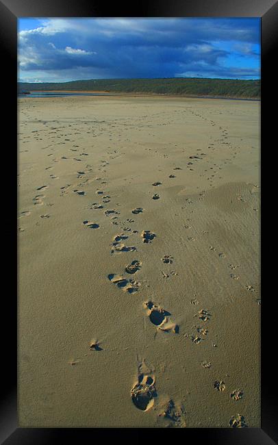 Kenton Footprints Framed Print by Brett Hagen