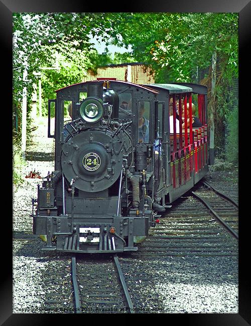 Miniature Steam Locomotive Framed Print by David Haddock