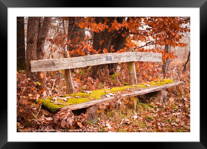 The Bench Framed Mounted Print by James Mc Quarrie