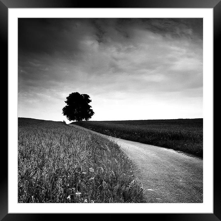 Lone tree Framed Mounted Print by James Mc Quarrie