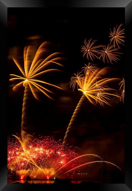  Palm Tree Fireworks Framed Print by Steve Wilson