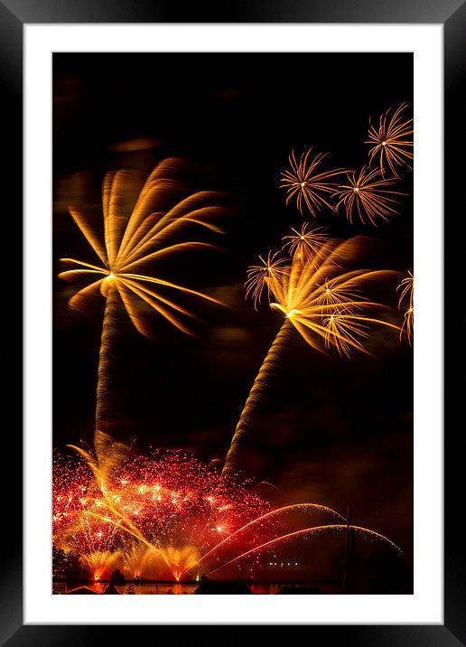  Palm Tree Fireworks Framed Mounted Print by Steve Wilson