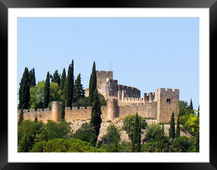 The Castle Framed Mounted Print by Luis Lajas