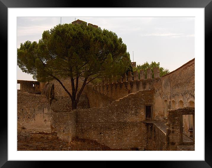 Ruin Angle Framed Mounted Print by Luis Lajas