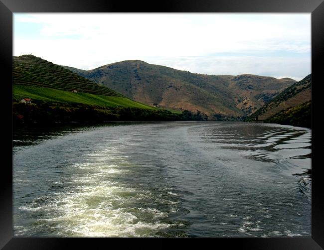 River Up Framed Print by Luis Lajas