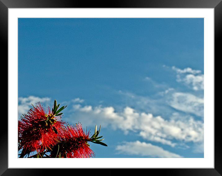 The clouds and a Flower Framed Mounted Print by Luis Lajas