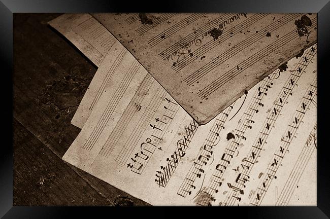 Music sheet Framed Print by Luis Lajas