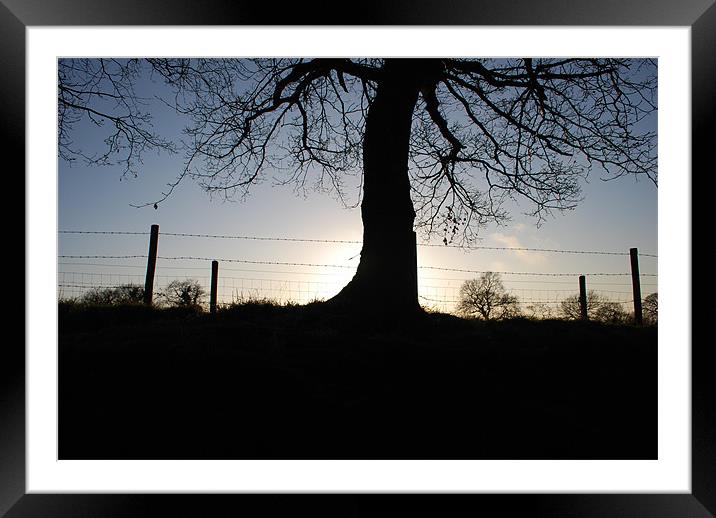 sun set tree scape Framed Mounted Print by Sarah Beattie