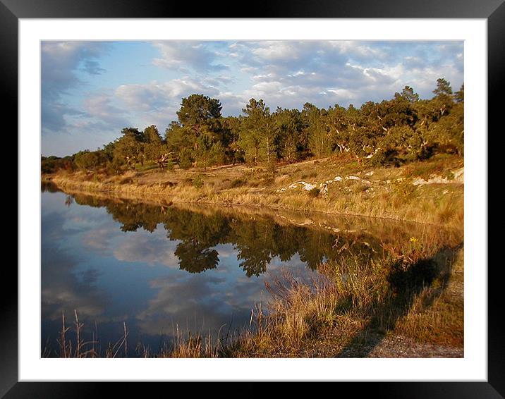 Reflection Framed Mounted Print by joaquim ferreira