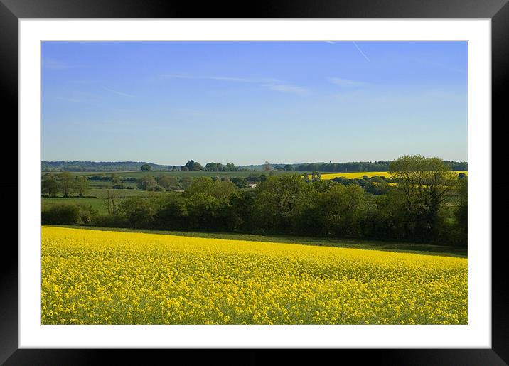 Dorset Countryside Framed Mounted Print by James Battersby