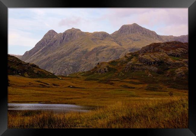 Blea Tarn and the Langdales Framed Print by Kleve 