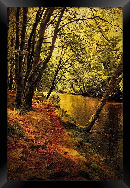 Beechwoods by the River Coe Framed Print by Jacqi Elmslie