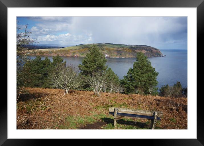 A Bench with a View Framed Mounted Print by Jacqi Elmslie
