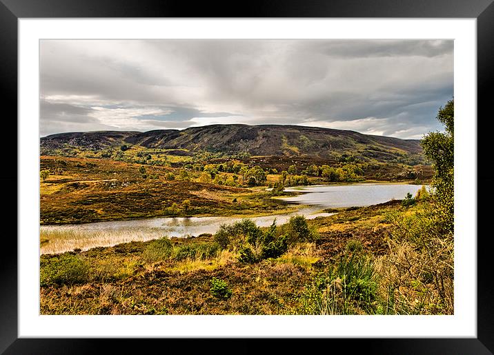 Glen Convinth near Loch Ness Framed Mounted Print by Jacqi Elmslie