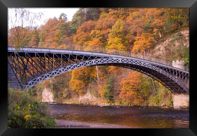 The Bridge at Craigellachie with Autumn Colour Framed Print by Jacqi Elmslie