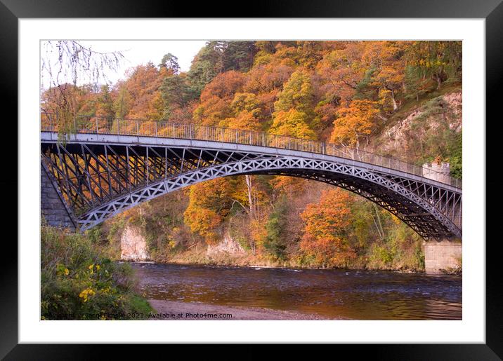 The Bridge at Craigellachie with Autumn Colour Framed Mounted Print by Jacqi Elmslie