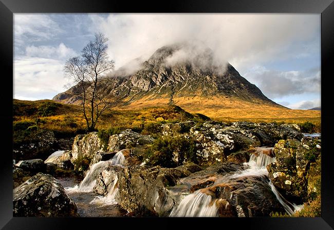 Beyond The Stream Framed Print by Jacqi Elmslie