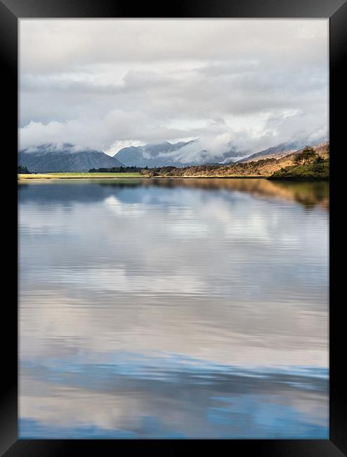 Scotch Mistiness Framed Print by Jacqi Elmslie